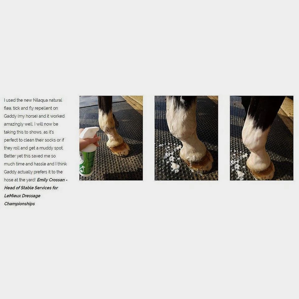 "Towel Off" Pet Shampoo With Natural Insect Repell - Image 2