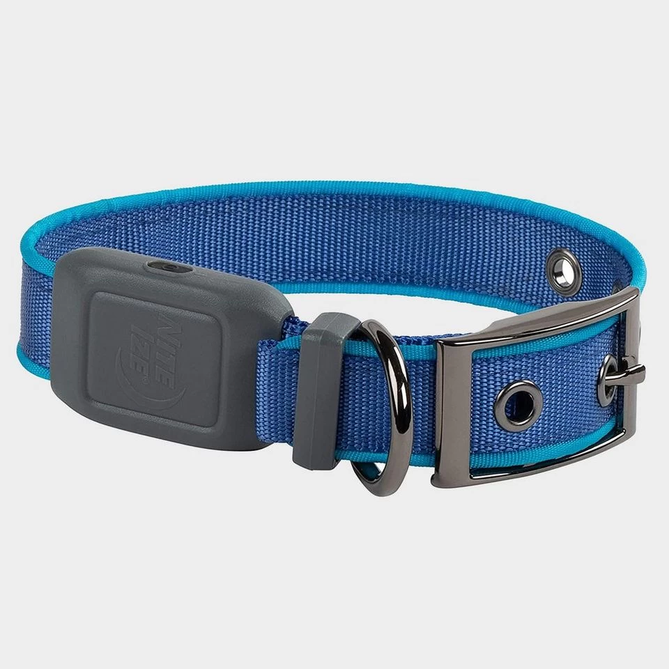 Nitedog LED Rechargeable Collar Blu - Image 2