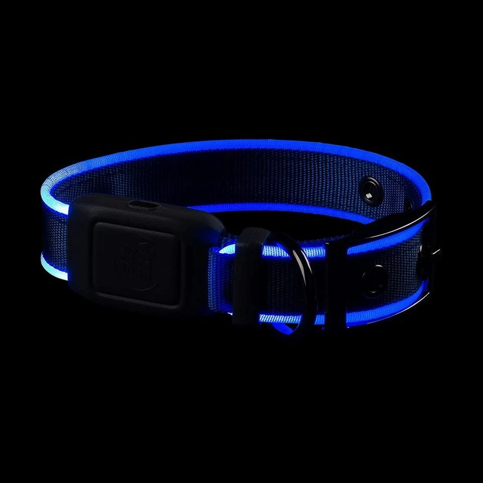 Nitedog LED Rechargeable Collar Blu - Image 3