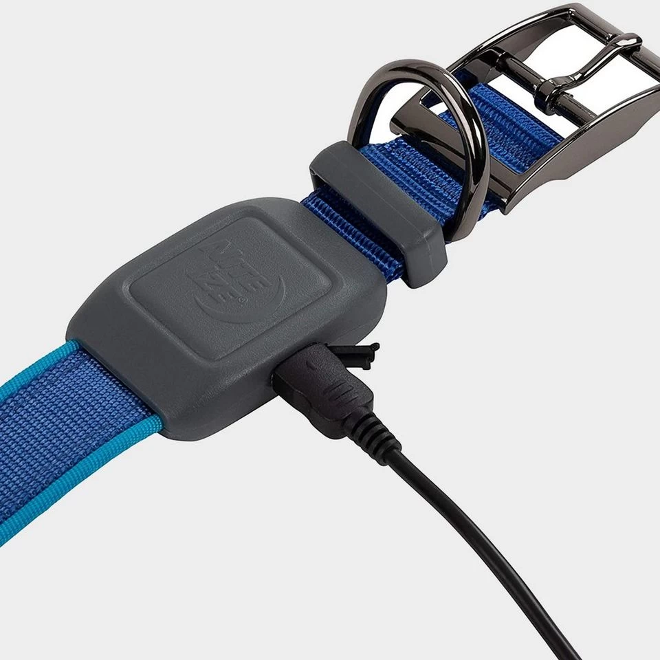 Nitedog LED Rechargeable Collar Blu - Image 4