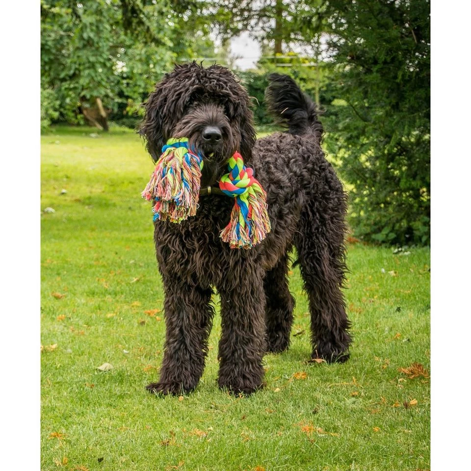 Toyz Triple Knot - Image 2